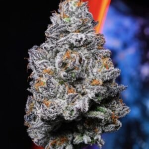 Kryptochronic Alien Labs