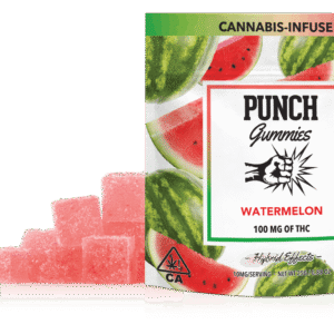 PUNCH GUMMIES- WATERMELON