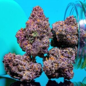 Purple Kush