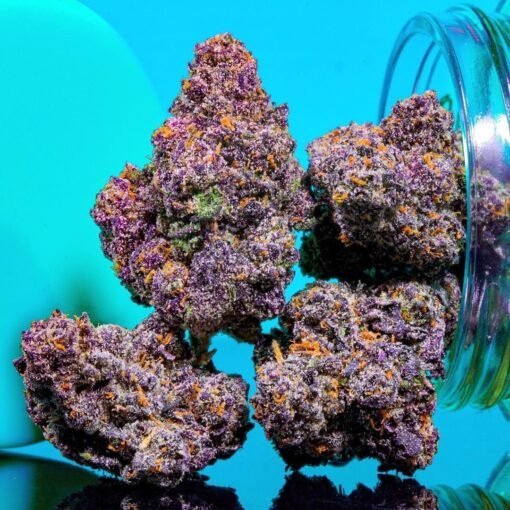Purple Kush