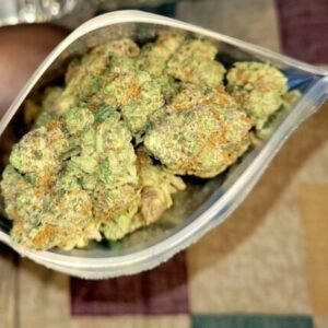 Buy Cinderella 99 online