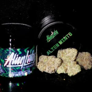 ALIEN MINTS STRAIN