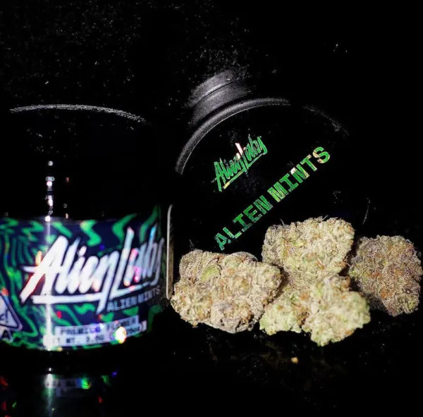 ALIEN MINTS STRAIN