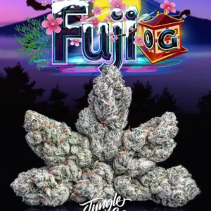 FUJI STRAIN