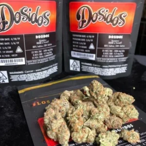 DOSIDOS STRAIN