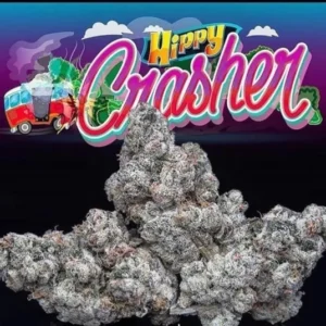 WEDDING CRASHER STRAIN