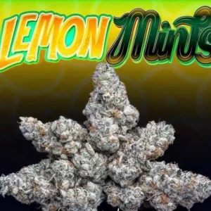LEMON MINTS STRAIN