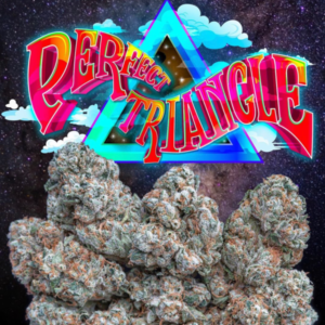 PERFECT TRIANGLE JUNGLEBOYS