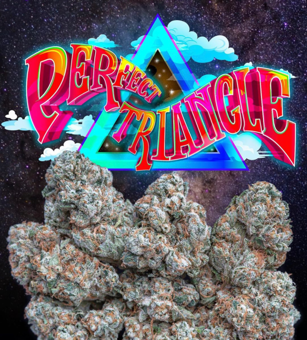 PERFECT TRIANGLE JUNGLEBOYS