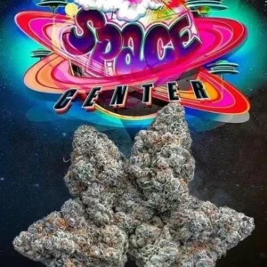 SPACE CENTER STRAIN