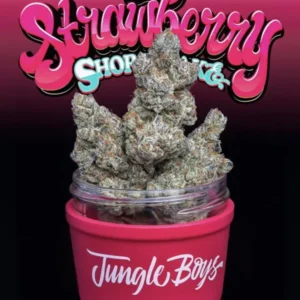 STRAWBERRY SHORTCAKE STRAIN