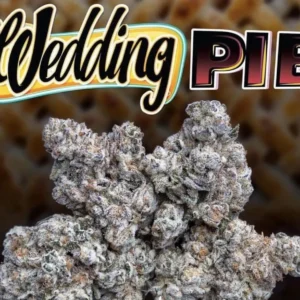 WEDDING PIE STRAIN