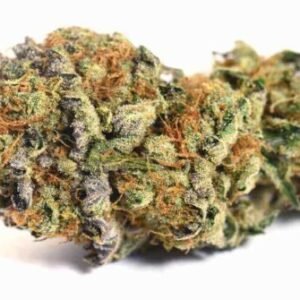 Buy Black Truffle Strain