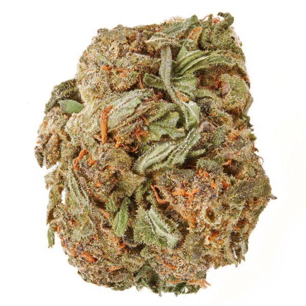 Buy Purple Haze Strain