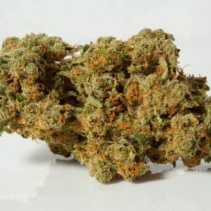 DURBAN POISON WEED