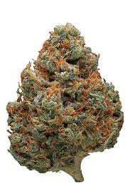 Durban poison