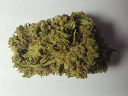 Jack Herer