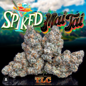 Jungle Boys | Spiked Mai Tai – 3.5g Flower