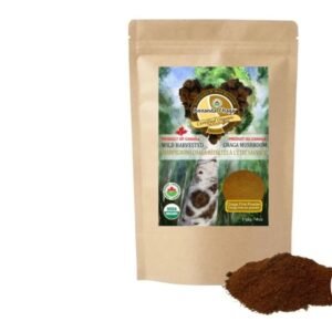Organic Chaga Mushroom Fine Powder