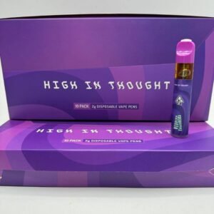 High in Thought 2g Disposable Vaping Experience