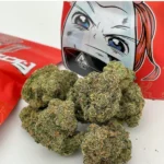 ZUSHI STRAIN - Image 2